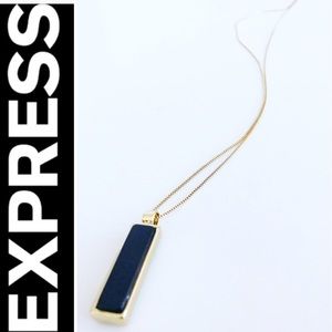 EXPRESS Gold Necklace w 2-Sided Pendant!